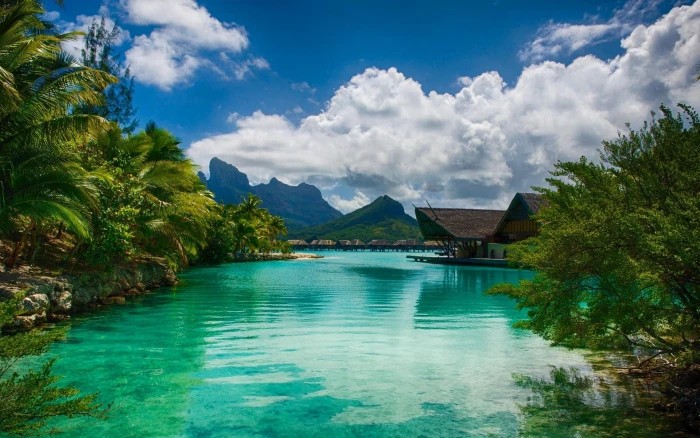 body of water landscape nature sea resort palm trees Bora 2k