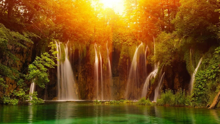 nature landscape tree season summer autumn forest leaf 2k