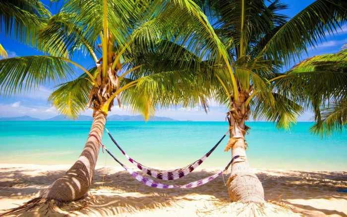 tropics sand beach ocean palm trees hammocks 2k