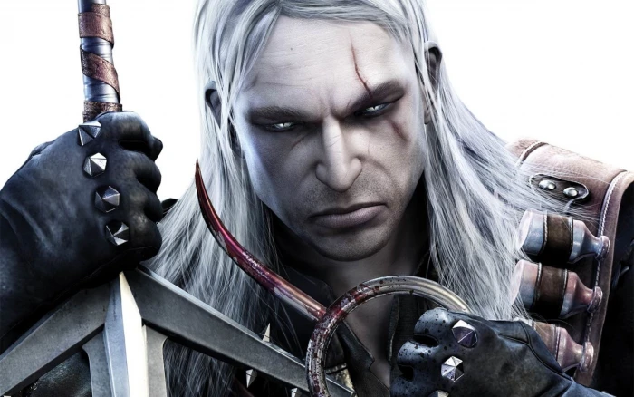 the witcher 2k