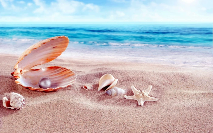 Sea Shells With Beads Sandy Beach Hd Wallpapers 2k
