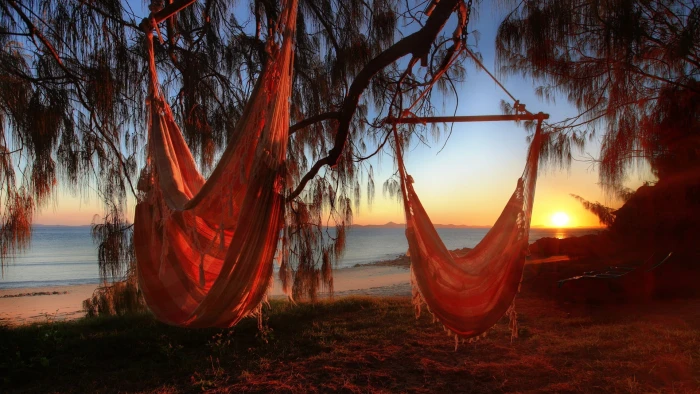 two brown hammocks beach sunlight relaxing sunset tranquility 2k
