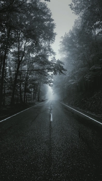 asphalt road portrait display vertical landscape tree transportation