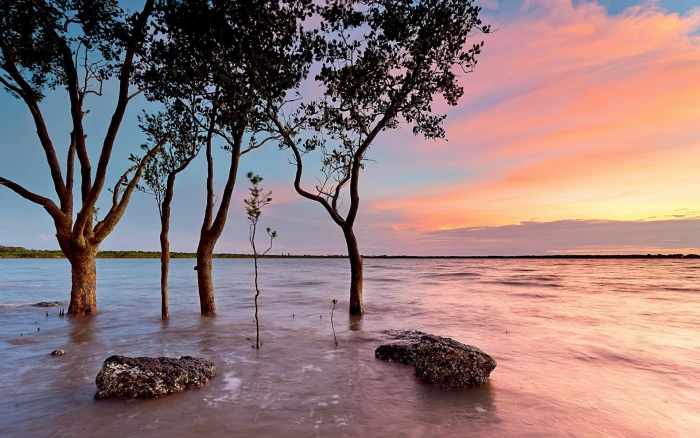 full screen nature desktop hdmi water sky tree 2k
