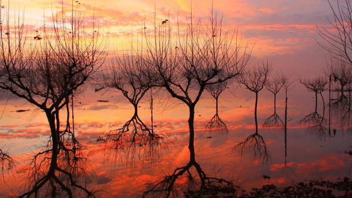 nature sun sunset sunrise sky silhouette orange star 2k