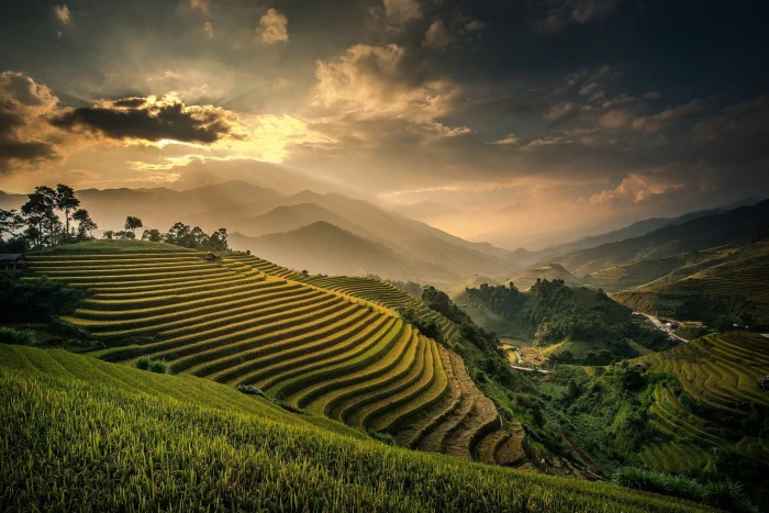 rice terraces nature landscape field mountains mist sunset 2k