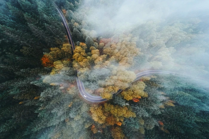aerial photography of road surrounded by trees wallpaper landscape 2k