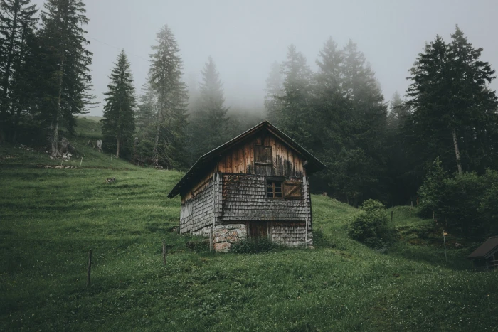 brown and gray house on green grass surrounded by trees nature 2k