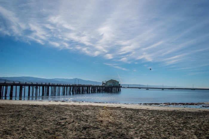 brown wooden dock view during day time sea beach nature 2k