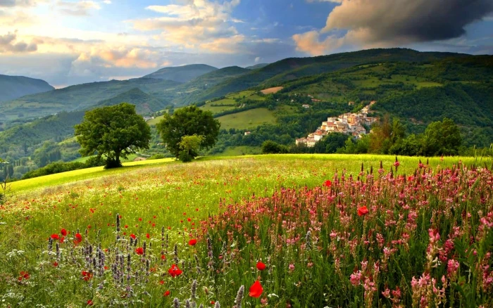 Refreshing Scenery trees mountain field houses clouds blossoms 2k