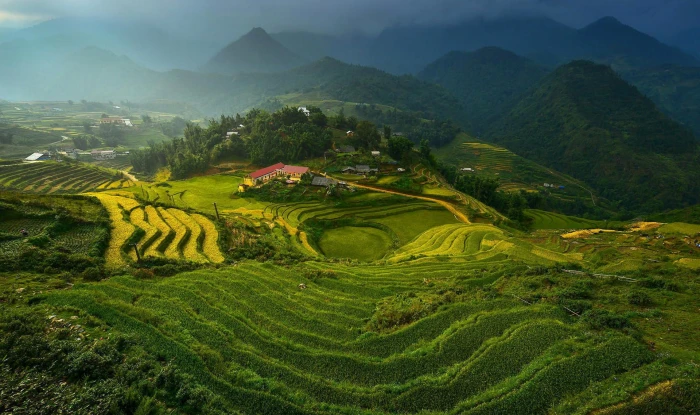 rice terraces landscape Vietnam terraced field agriculture 2k