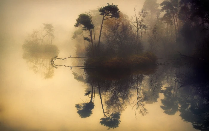 body of wateer reflection trees illusion nature landscape 2k