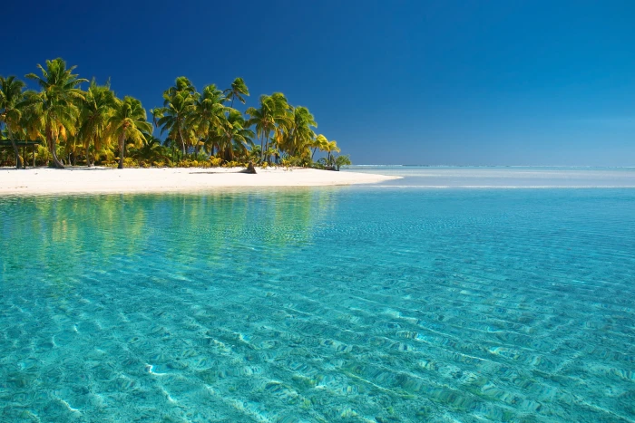 body of water sea beach palm trees the Pacific ocean cook Islands 2k