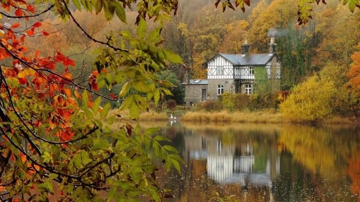 green leafed tree brown house near body of water surrounded by trees 2k