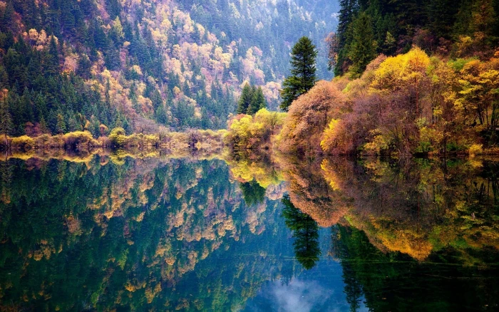 green trees and body of water near forest nature 2k