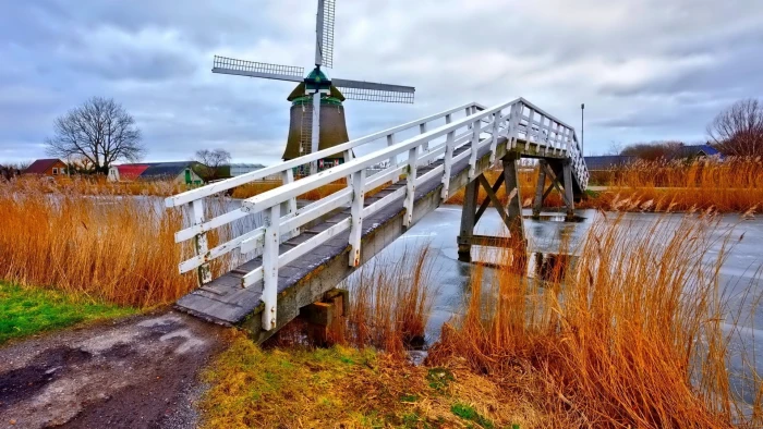 nature bridge sky river city architecture landscape building 2k