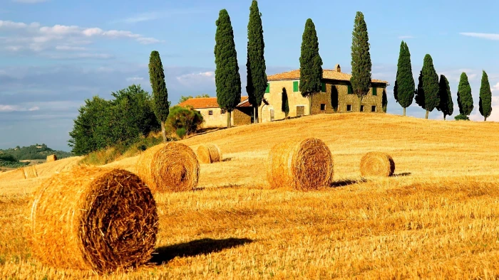 nature hay fodder tuscany feed landscape field rural 2k