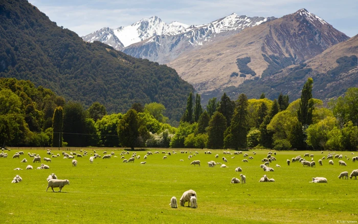New zealand countryside Country Nature Scenery Wal mountain 2k