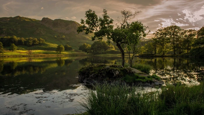 pics of nature download 2k
