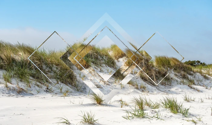 polyscape beach snow winter cold temperature plant nature 2k