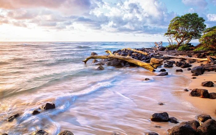 Sea ocean water waves beach sand stones trees sky clouds 2k