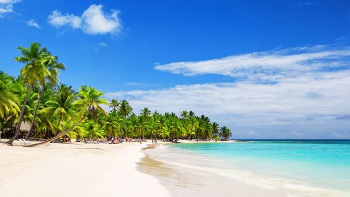 Arena Blanca Beach Dominican Republic White Sandy Beaches Coconut Palm Trees Tropical Wallpaper Hd 2k