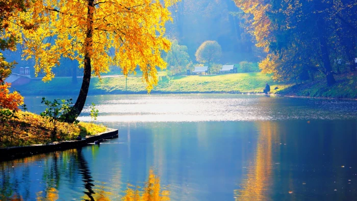 beautiful pictures of nature hd 2k