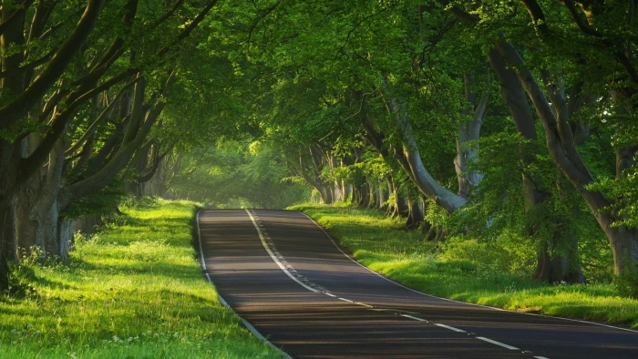 download nature full size 2k