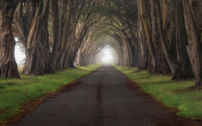 high resolution images of nature 2k