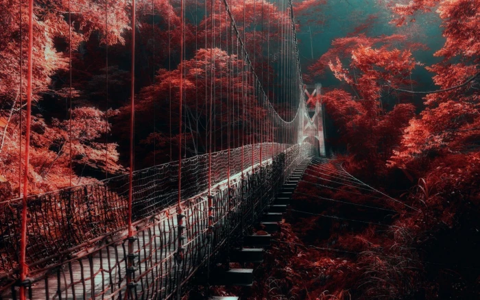 nature landscape red forest bridge mist trees walkway 2k