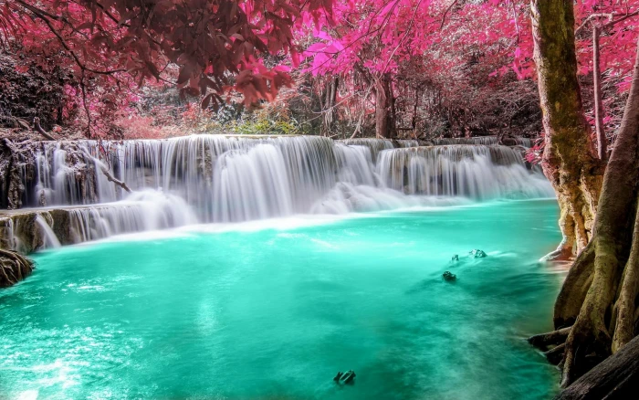 pink leafed trees red and near waterfalls forest 2k