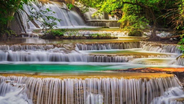 beautiful images nature water motion tree flowing 2k