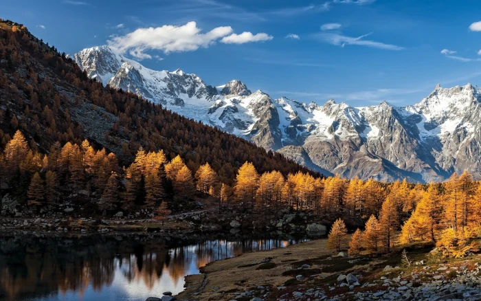 brown leafed trees gray and white mountains during daytime nature 2k