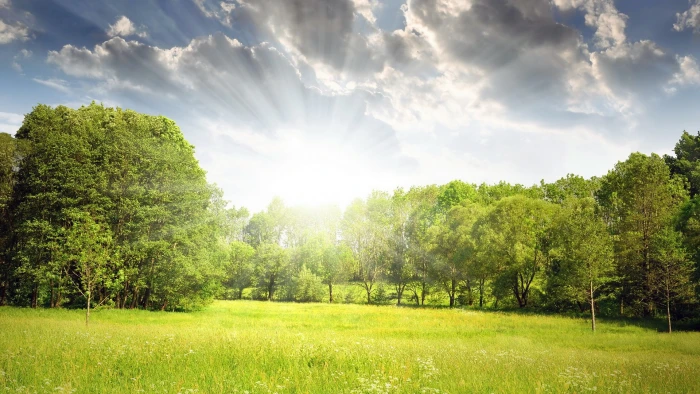 for desktop nature scenes beautiful scenery plant 2k