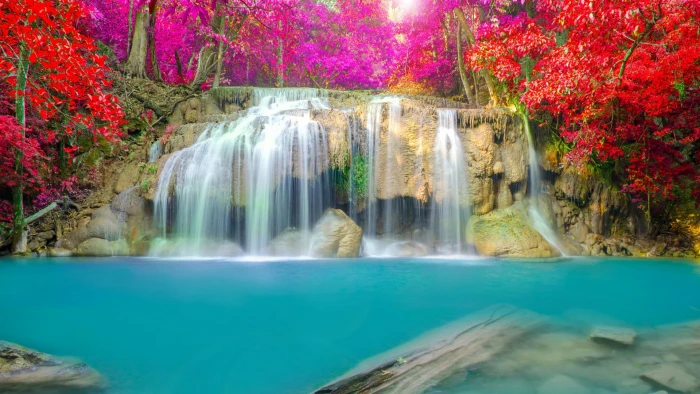 Forest leaves beautiful waterfall landscape photography 2k