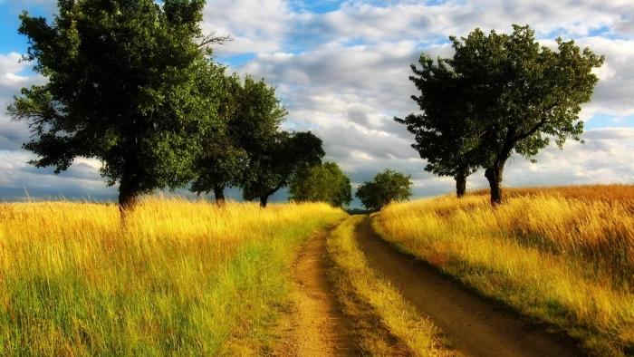 images backgrounds nature 2k