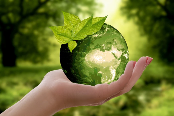 person holding green crystal ball nature earth sustainability 2k