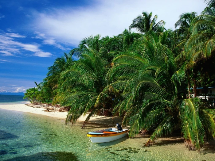 Beach boat coconut trees green palm 2k