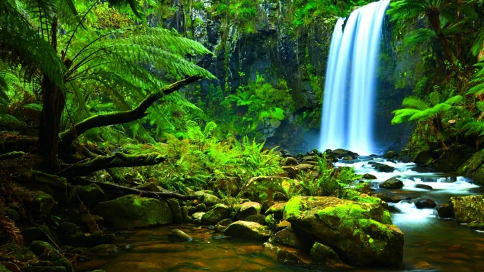 waterfall amazon nature body of water rainforest watercourse 2k