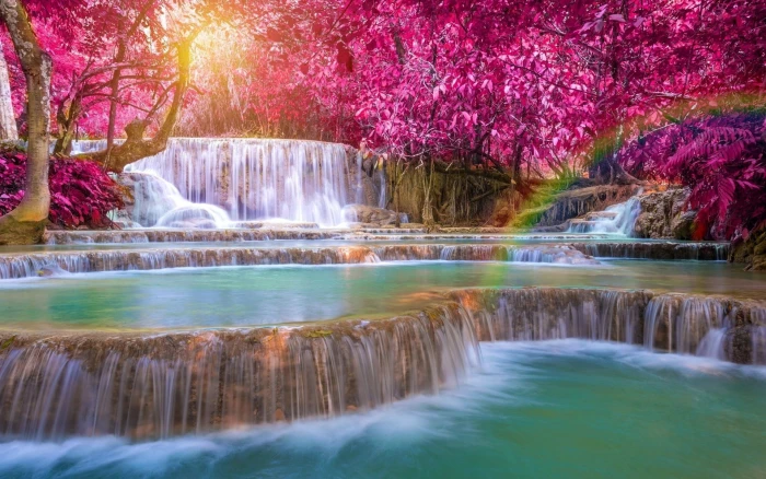 Waterfalls Foliage Nature Rainbow Tree 2k