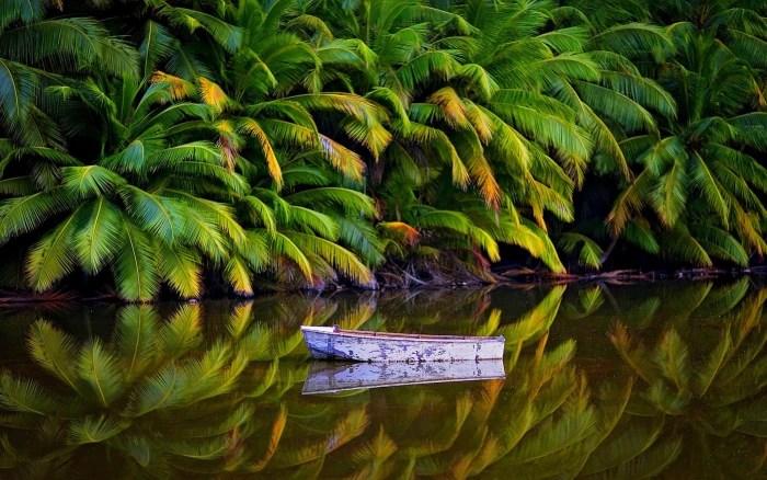 white boat on body of water nature landscape palm trees jungle 2k