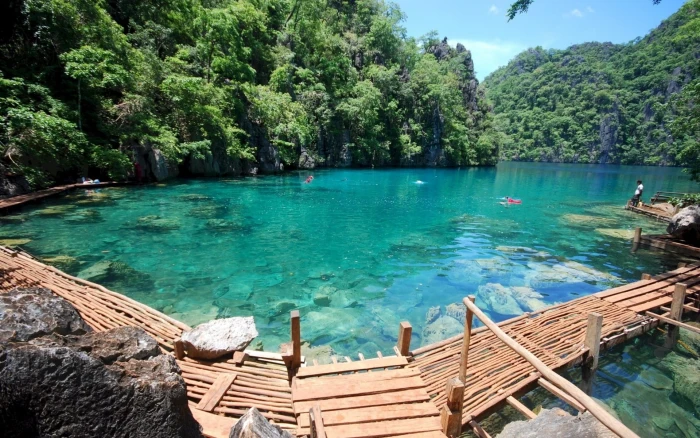 Kayangan Lake Coron Island green leaf forest nature and landscape 2k