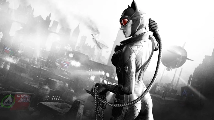 DC Catwoman illustration Batman Arkham City superhero video games 2k