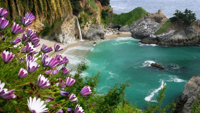beach nature flowers waterfall plants beauty in 2k