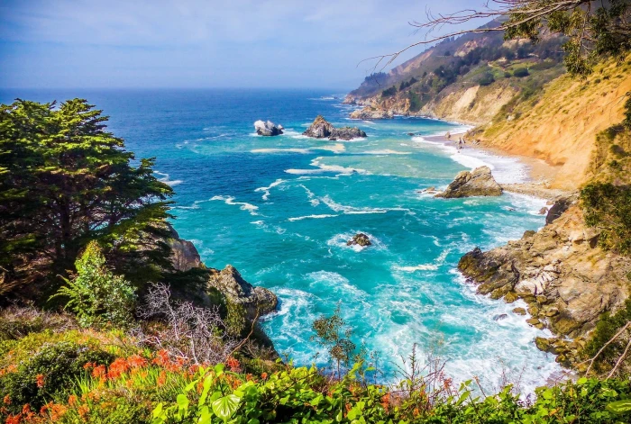 green plants nature photography landscape sunlight coast 2k
