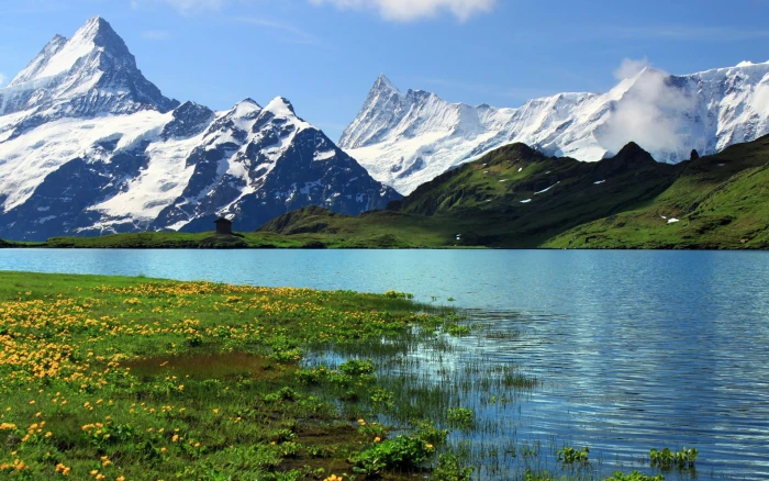Switzerland Bern nature scenery snowy mountains river grass flowers 2k