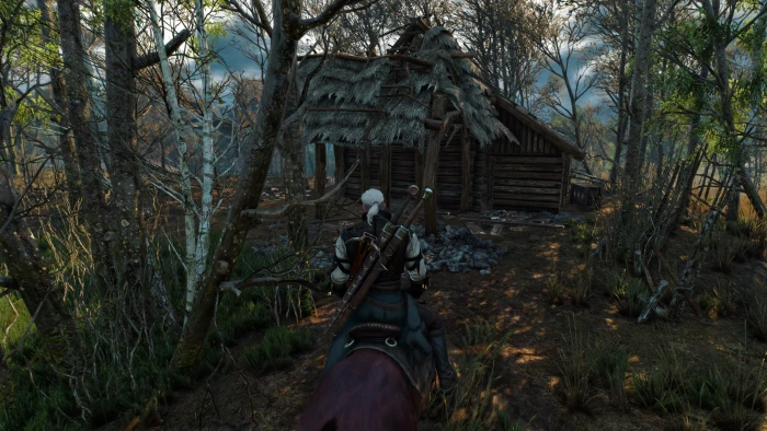 The Witcher 3 Wild Hunt 2k