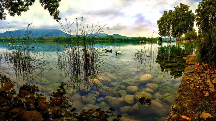 body of water during white sky nature trees 2k