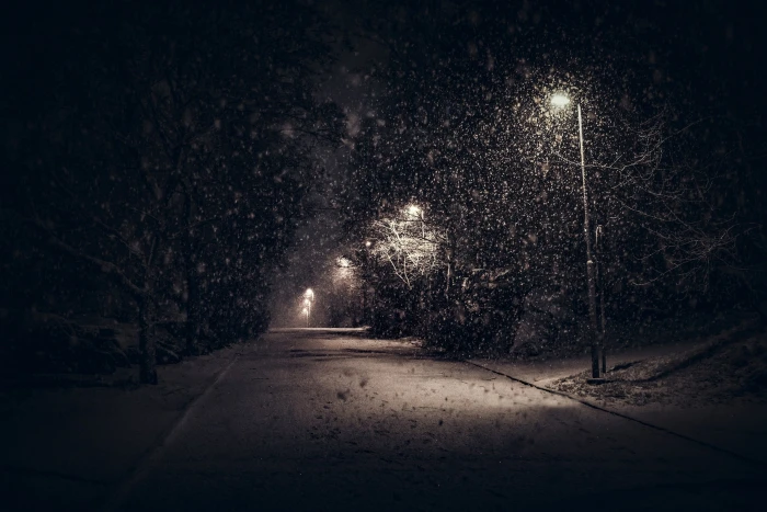 concrete road landscape nature street light snow trees night 2k