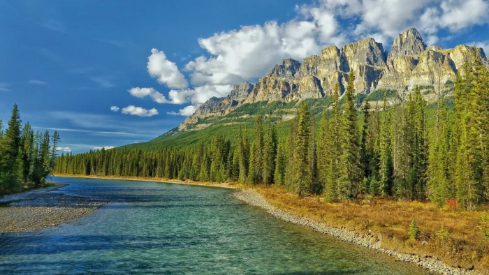 for desktop nature scenes beautiful scenery tree 2k